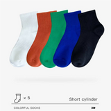 A pack of 5 Short Cylinder/Colorful SOCKS for Adults